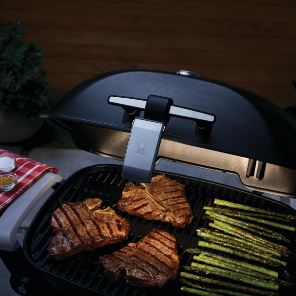 Світлодіодна мобільна підсвітка GRILL 'N GO LIGHT для грилів Q1XXXN / Q2XXXN 3400861 фото