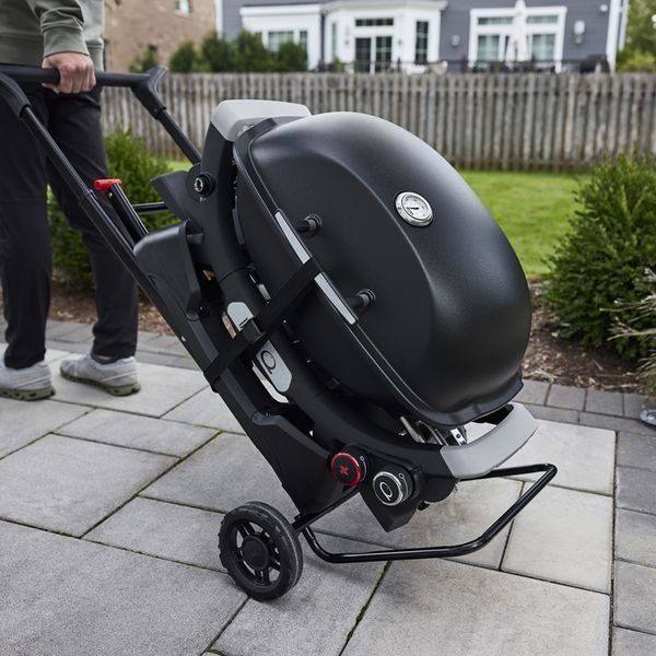Підставка під грилі Q PORTABLE CART портативна 3400856 фото