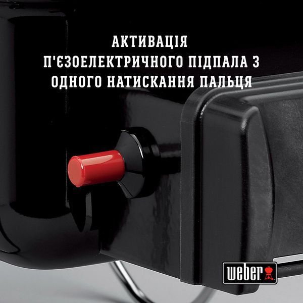 Газовий гриль Go-Anywhere Gas 1141075 фото