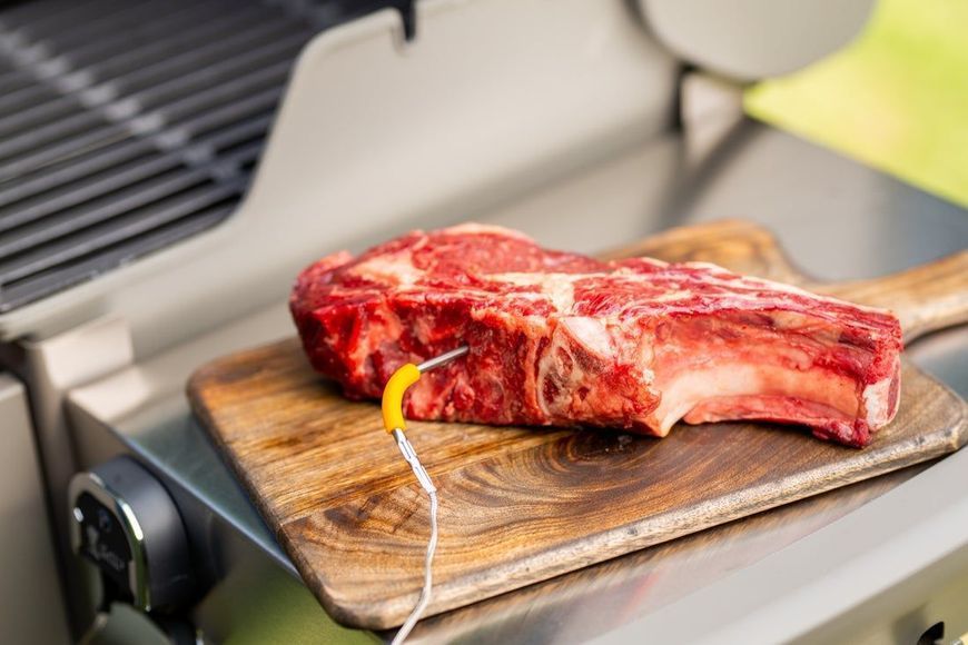 Щуп для м'яса до електронних термометрів iGrill та Weber Connect 7211 фото