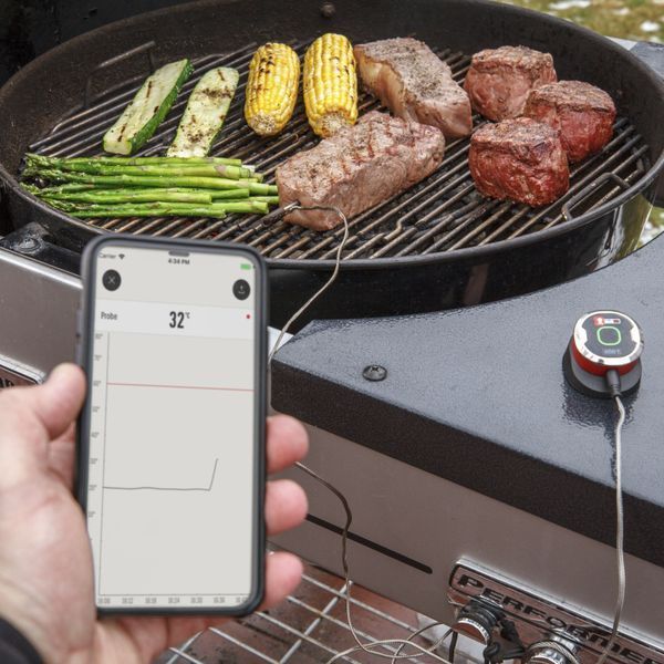 Цифровий термометр iGrill Mini 7220 фото