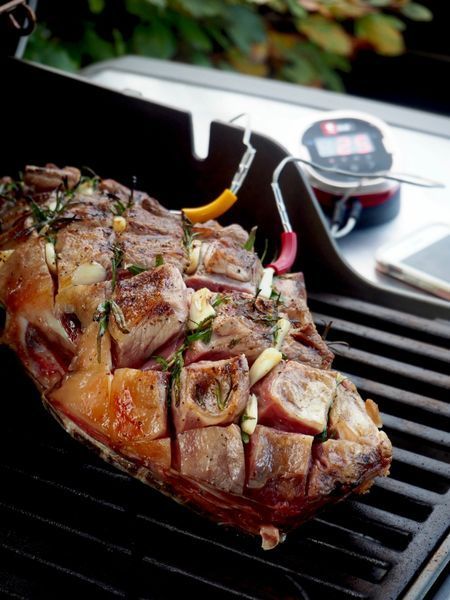 Цифровий термометр iGrill 2 7221 фото