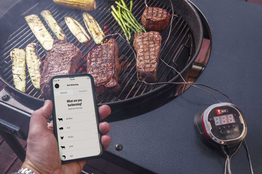 Цифровий термометр iGrill 2 7221 фото