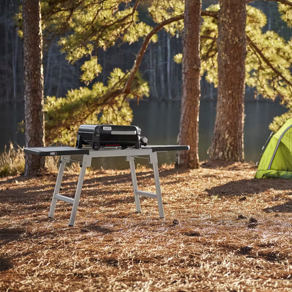 Газовий гриль Weber SLATE GP 43 см Premium Griddle 1501161 фото