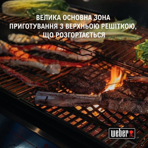 Газовий гриль Genesis E-335 35410075 фото