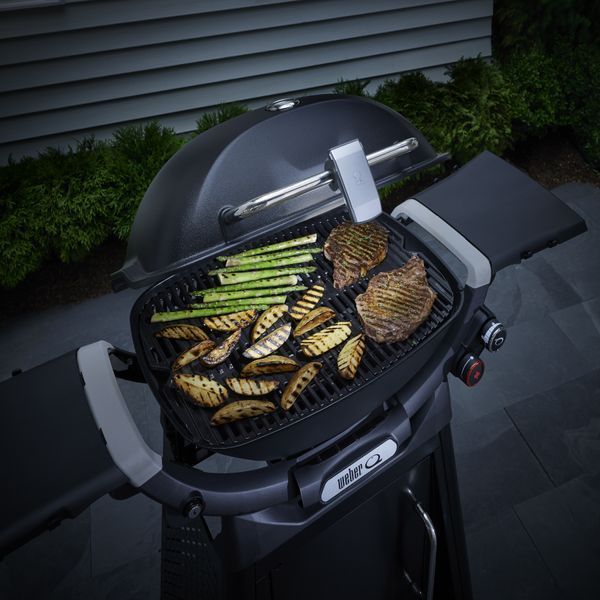 Світлодіодна мобільна підсвітка GRILL 'N GO LIGHT для грилів Q3XXXN/TRAV/LUM 3400862 фото