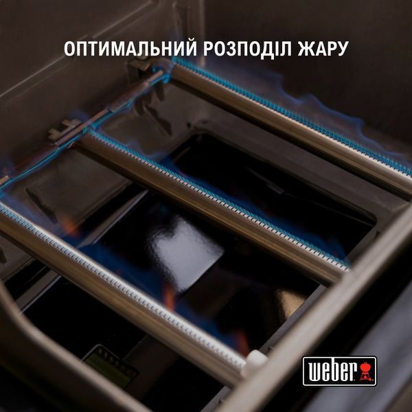 Газовий гриль Spirit Classic E-220S 1500305 фото
